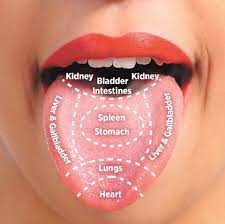 Example tongue analysis